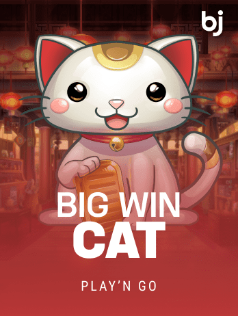 Big Win Cat
