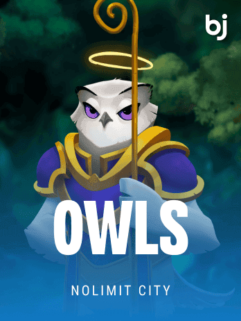 Owls icon